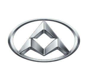 Ldv