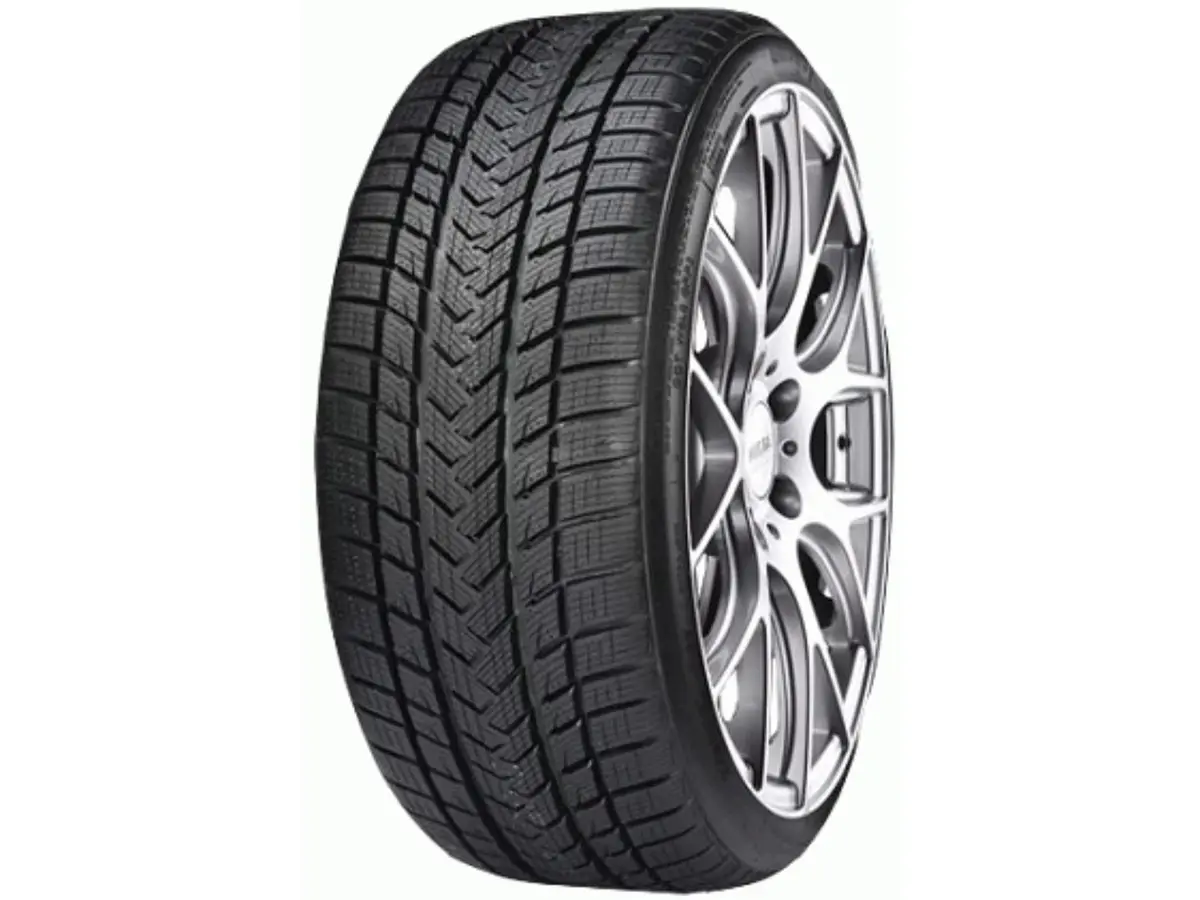 GRIPMAX Status Pro Winter 100V 205/65R17