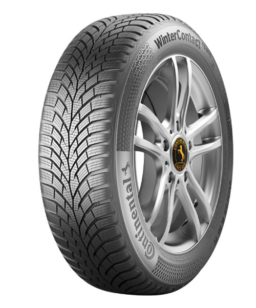 Continental Conti Win TS 870 91H FR  225/45R17