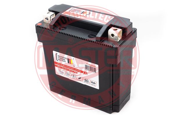MASTER-SPORT GERMANY Akumulator za startovanje - 4250083182810