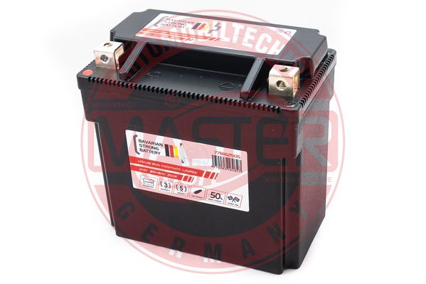MASTER-SPORT GERMANY Akumulator za startovanje - 4250083182858
