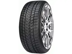 GRIPMAX Status Pro Winter 100V 205/65R17