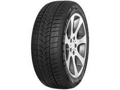 MINERVA Frostrack UHP 95V 245/35R20