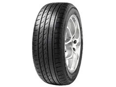 MINERVA IcePlus S210 87H 185/55R16
