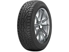 Riken Snow 94V 225/45R17